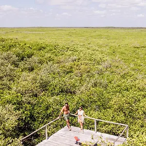 https://vida-silvestre.quintano-roohotels.com